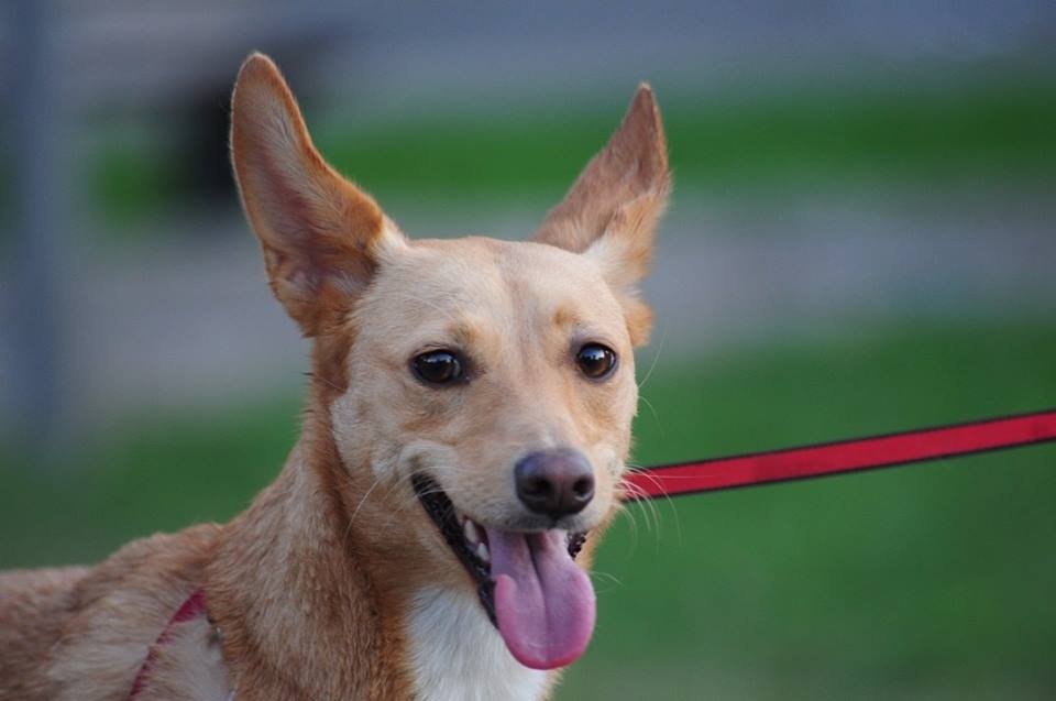 Cuidados profissionais